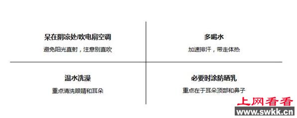 夏季到了，狗狗到底要不要修剪毛发!