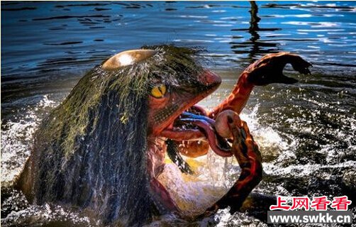 日本河童惊现身 小孩子千万不要去河边玩水