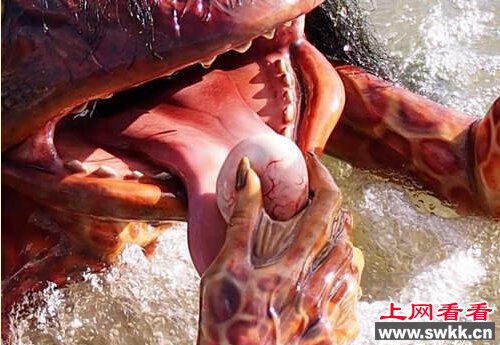 日本河童惊现身 小孩子千万不要去河边玩水