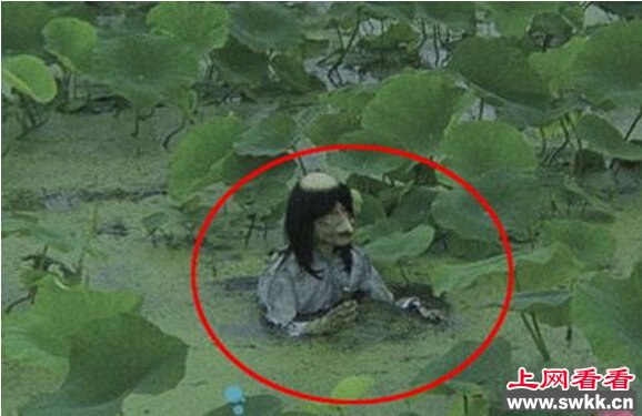 日本河童惊现身 小孩子千万不要去河边玩水