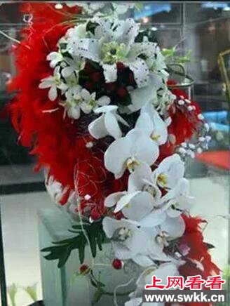 世界上最贵的花：斯里兰卡仙人掌花无价