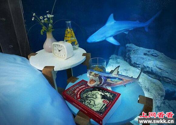 世界上最刺激的水族馆：与鲨鱼同眠你敢来吗?