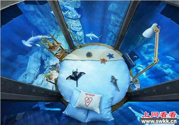 世界上最刺激的水族馆：与鲨鱼同眠你敢来吗?