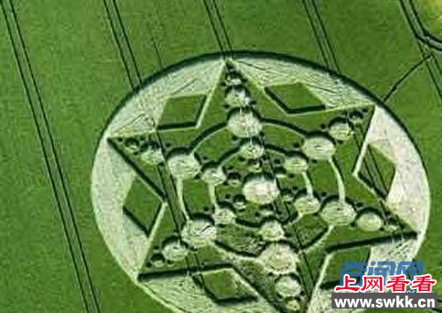 麦田怪圈
