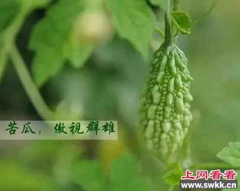 世界上最难吃的蔬菜，喜欢吃的都是神人