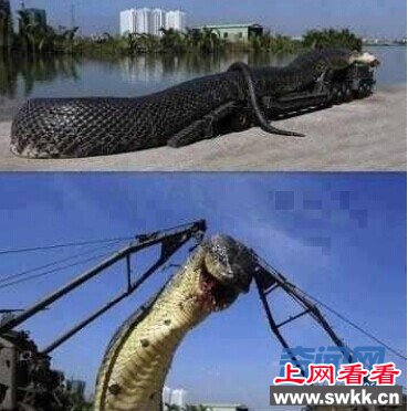 غ캣 һľ