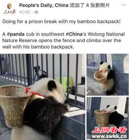 　这两天，几家一直对中国不是很爽的外媒，集中报道了中国的央视，人民日报等中央一级的媒体，在境外的社交网站Facebook上的帖子，总能获得大量互动，并拥有大量粉丝的情况。  　　令人遗憾的是，包括美国官办媒体“美国之音”在内的这些外媒，却并没有对央视和人民日报为何能在Facebook上获得网友青睐给出公正的答案，而是拿出极 为偏颇的“调查”，或是仅仅因为人民日报和央视的粉丝数比美国的几个主流媒体多，就直接认为央视和人民日报在Facebook上受欢迎是虚假的，大量的粉丝和互动都是“买”来的水军...  　　然而，对比了央视、人民日报和美国CNN在Facebook上的互动评论数后，却发现事实远非这些“羡慕嫉妒恨”的外媒所宣称的那样。下面奇闻网的小编就来带你看看所谓的那些“央视水军”