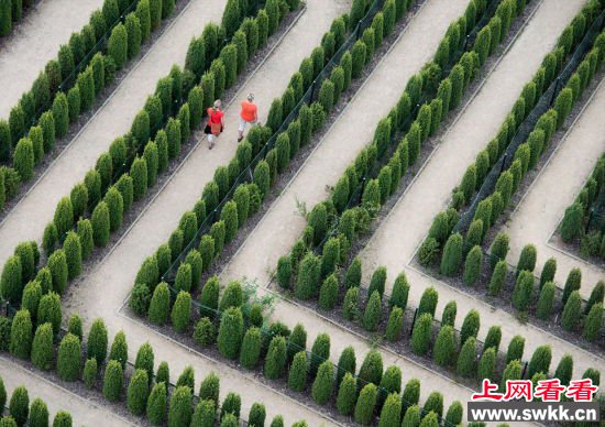 这些迷宫一旦进入就不想出来  世界上最美的花园迷宫