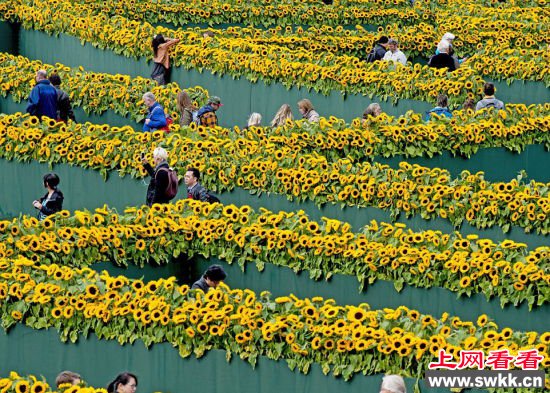 这些迷宫一旦进入就不想出来  世界上最美的花园迷宫