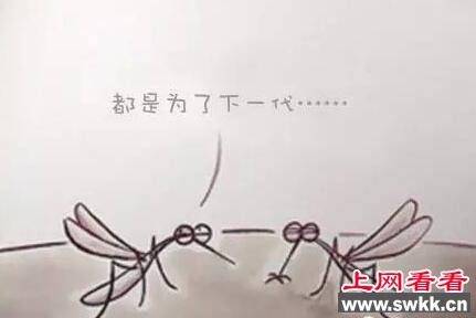 为什么蚊子老叮你一个人？真的有招蚊体质吗？