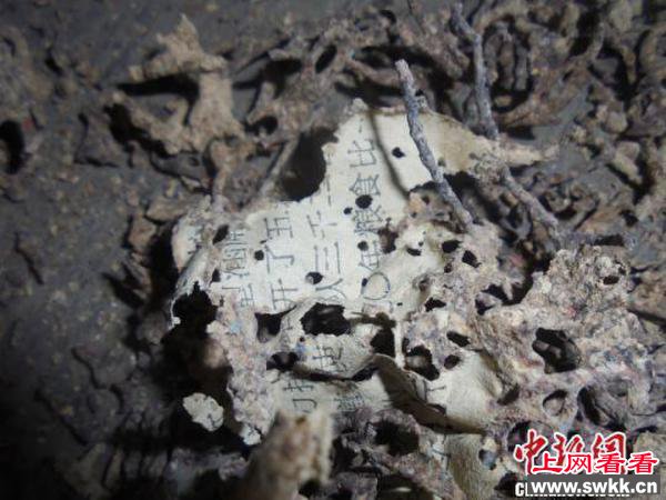 4万元被蚂蚁吃光
