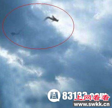 安徽巨蟒渡劫事件 巨蟒凌空渡劫