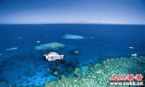 得益于珊瑚海独特生态环境的梦幻景观