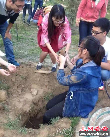 兰州一高校8只流浪狗崽遭保安活埋 学生奋力救出7只