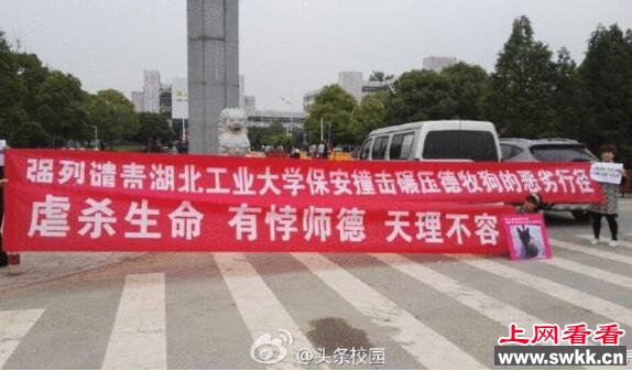 保安撞狗护学生 究其原因真相