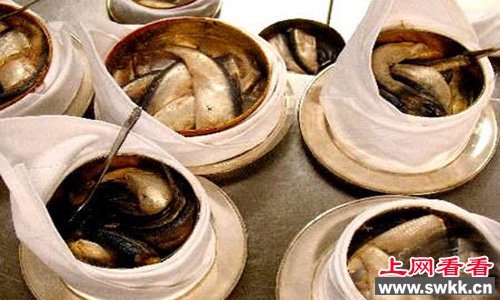 全世界最臭的食物腌鲱鱼罐头