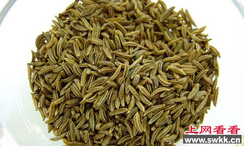 全世界最臭的食物TEX MEX