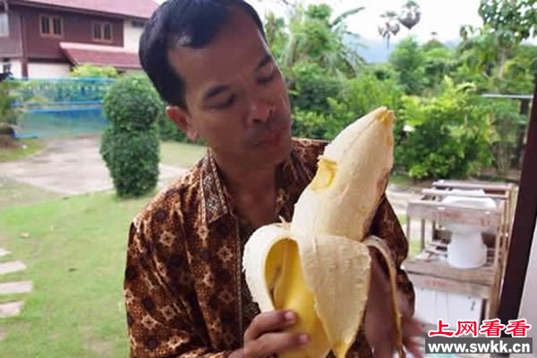 世界上最大的香蕉长近30厘米