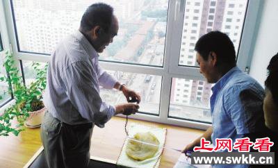 甘肃工人草坪挖出“太岁” 专家称已有千年