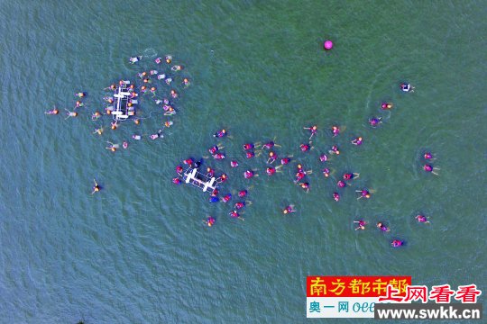广州市长带千人横渡珠江 为证明水质越来越好