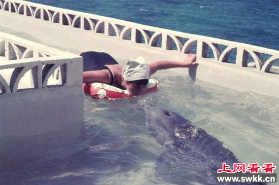 海豚爱上女孩
