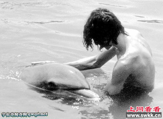 海豚爱上作家并发生性行为