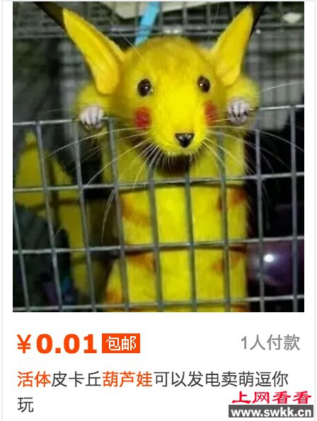 活体葫芦娃