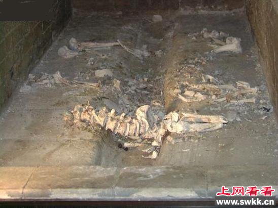 火化遗体真实过程