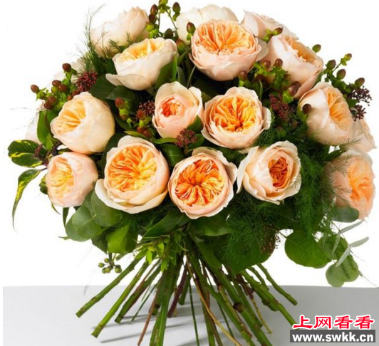 世界最贵玫瑰花