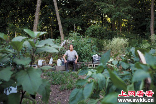 陪读家长在美国种菜