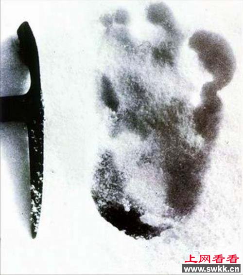 ʷǰʵ_ѩ˱ҹۡ(Yeti)