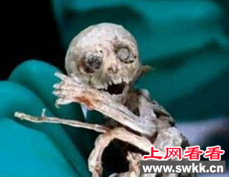 墨西哥外星人
