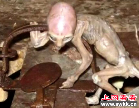 外星人婴儿
