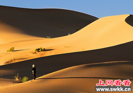 世界海拔最高的沙漠