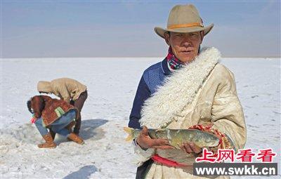 青海湖护鱼人