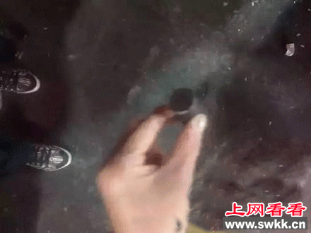 上饶发生枪击案