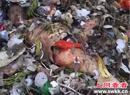台州女尸案告破