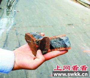 学生用砖头砸死官员