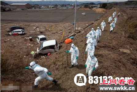 云南开远惊现死亡地带