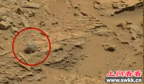 火星表面发现外星人头骨