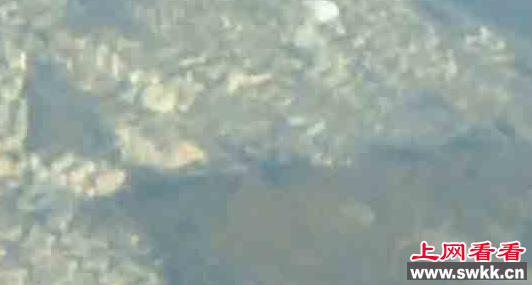 韩国上空惊现神秘白色圆形UFO