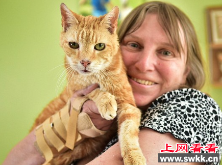 世界上年龄最大的猫