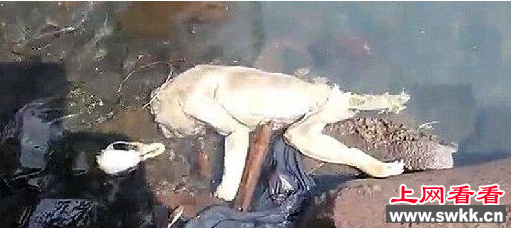 人形腐尸