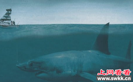 沉船事件引发怪兽追踪