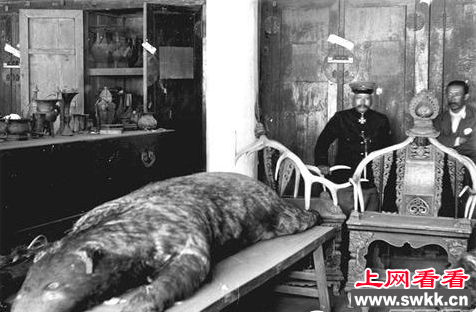 宫中展出熊皮照片