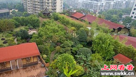 杭州现豪华“空中花园”