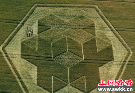 ufo麦圈