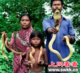南亚神秘的蛇人部落