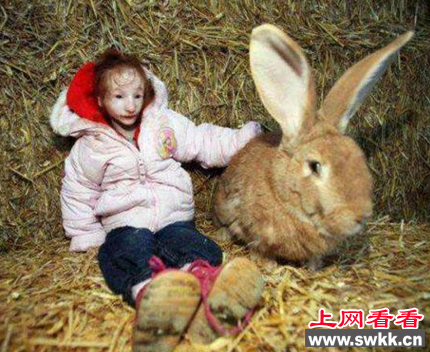 身体最小的女孩