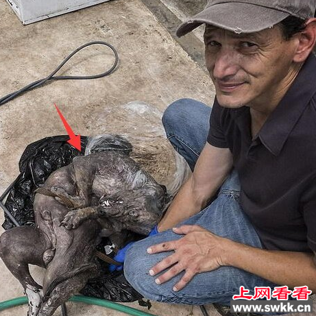 吸血怪兽